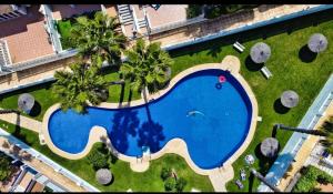an overhead view of a pool in a yard with palm trees at Chalet adosado en RIOMAR-3, urbanización residencial privada in La Horadada