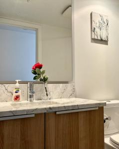 Ảnh trong thư viện ảnh của cozy near skytrain 2B2B in Metrotown ở Burnaby