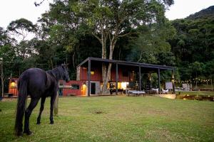 Άλλα ζώα σε οργανωμένο κάμπινγκ ή στη γύρω περιοχή