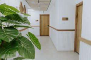Fotografie z fotogalerie ubytování Goland Hotel v destinaci Mas'ada