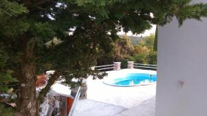 a swimming pool in a yard with a tree at Solar Hill Home in Žrnovo