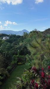 ein Garten mit Palmen und Bergen im Hintergrund in der Unterkunft Las Terrazas Suites Studio Apartment in San Salvador