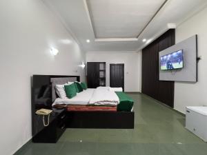 TV a/nebo společenská místnost v ubytování One Room Service Apartment in Kaduna