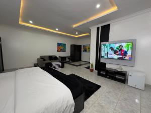 TV a/nebo společenská místnost v ubytování One Room Service Apartment in Kaduna