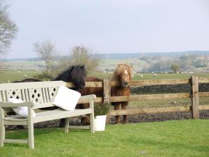 dos caballos parados detrás de una valla junto a una silla en Rectory Farm en Levisham