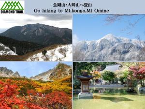 山景或在旅馆看到的山景