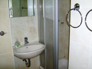 a bathroom with a sink and a shower at Nikol Apartments in Berlin