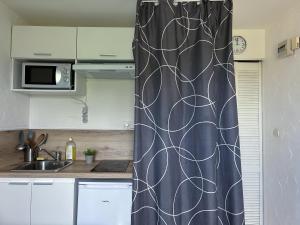 Η κουζίνα ή μικρή κουζίνα στο Studio cosy +1 φωτογραφίες
