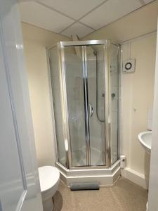 a bathroom with a shower and a toilet at 21 Trinity Avenue in Llandudno +48 photos