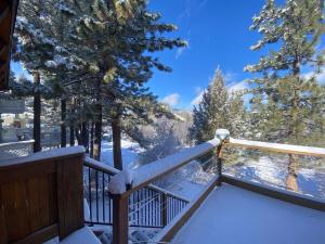 ein Balkon mit Schnee auf dem Geländer und Bäumen in der Unterkunft New Yena Cabin in Moonridge in Big Bear Lake