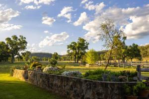 Pilliga Pottery Creative Farmstay外面的花园