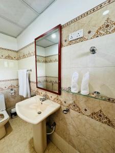 a bathroom with a sink and a mirror and a toilet at Ella Nature Life Guest & Restaurant -Free Pickup from Ella in Ella