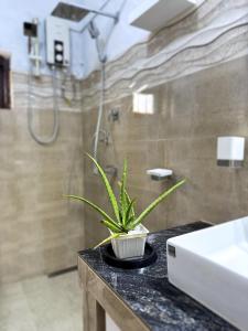 Phòng tắm tại Aloe Serene +41 ảnh