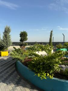 Zahrada ubytování Prestige Gardens Luxe Apartment