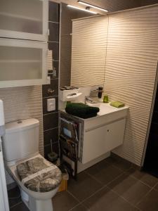 a bathroom with a toilet and a sink and a mirror at Appartement de L'Espiguette in Le Grau-du-Roi +37 photos