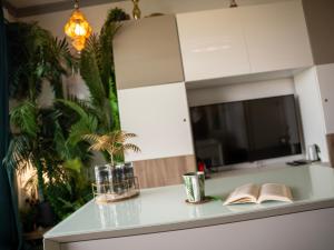 a kitchen counter with two books on it at Appartement de L'Espiguette in Le Grau-du-Roi