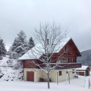 une maison enneigée avec un arbre en face de celle-ci dans l'établissement Chalet Ô Gustav, vue montagne, au calme, 8p, à Xonrupt-Longemer
