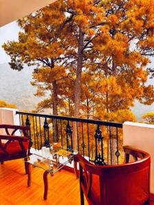 Sitara Ambience Resort Halwani-Kaichi dham Bypass Road的阳台或露台