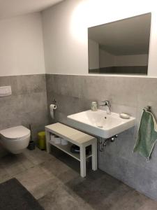 a bathroom with a sink and a toilet and a mirror at Ferienwohnung Alte Schmiede mit Gutspark in Rambin +33 photos