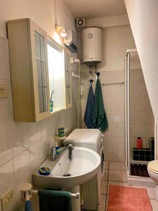 ein kleines Badezimmer mit Waschbecken und Dusche in der Unterkunft Casa Margot Costa Verde Sardinia in Torre Dei Corsari