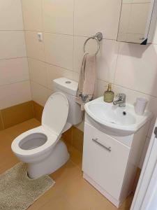 a bathroom with a toilet and a sink at Prizba Tomas in Blato +18 photos