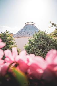 Zahrada ubytování Tunduk Hostel