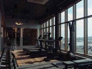 Fitness centrum a/nebo fitness zařízení v ubytování Elite Hotel Frost - Hotel & Spa