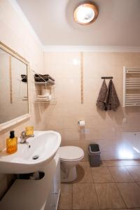 a bathroom with a sink and a toilet and a mirror at Angelica Apartment in Vilnius +21 photos