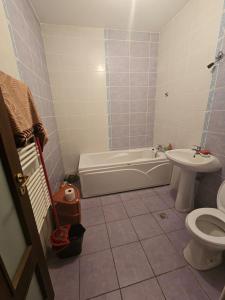 une salle de bain avec une baignoire, des toilettes et un lavabo dans l'établissement Apartament 1 cameră, à Bragadiru