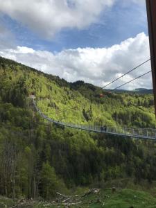 a suspension bridge in the middle of a forest at Saunaparadies Black Forest in Löffingen