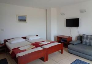 a bedroom with a bed and a couch and a tv at Apartments Vlado in Njivice