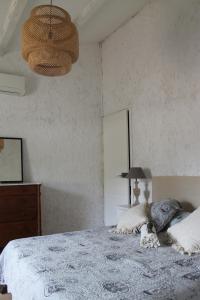 Un dormitorio con una cama con un gato acostado en ella. en Le Mas des Figuiers, en Arles 60 fotos más