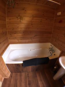 Koupelna v ubytování Lochlomondlodge22