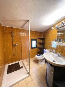 Appartement calme proche du centre في Santa-Reparata-di-Balagna: حمام مع دش ومغسلة ومرحاض