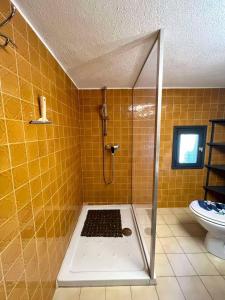 Appartement calme proche du centre في Santa-Reparata-di-Balagna: حمام من البلاط الأصفر مع دش ومرحاض