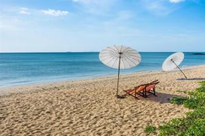 Příroda nedaleko hotelu + 57 fotografií