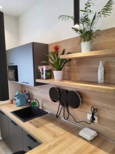 Kuchyň nebo kuchyňský kout v ubytování Borgo di Levante luxury apartments