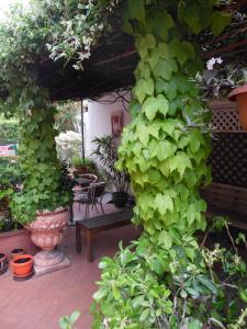 a pergola with a bench in a garden at Agorà Hostel in Pompei