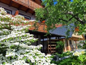 Photo de la galerie de l'établissement Rooms Ravnik, à Bled