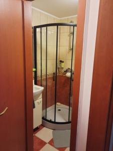 Koupelna v ubytování Apartment L&M + 16 fotografií