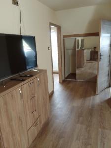 Μια τηλεόραση ή/και κέντρο ψυχαγωγίας στο Pokoje Nałęczów +7 φωτογραφίες