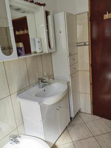 a bathroom with a white sink and a mirror at Apartman Barbara in Grabovac +25 photos