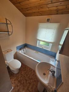 a bathroom with a tub and a toilet and a sink at Ocean View Lodge - Sea Views & Decking in Ilfracombe +34 photos