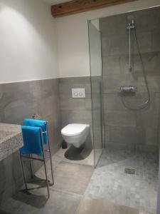 W łazience znajduje się toaleta i przeszklony prysznic. w obiekcie Bed & Breakfast Pergama w mieście Haaren