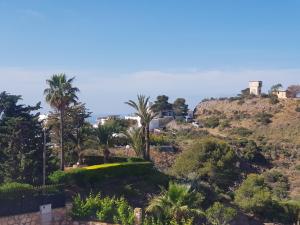 アギラスにあるCatalejo 6 Aguilas Murciaのヤシの木や茂みのある丘の景色