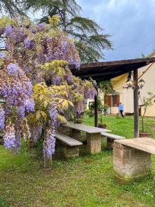 Zahrada ubytování Glamping in Tuscany