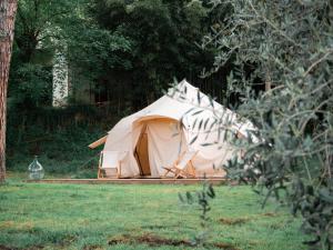 Zahrada ubytování Glamping in Tuscany + 7 fotografií