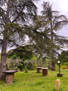 Zahrada ubytování Glamping in Tuscany