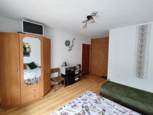 Μια τηλεόραση ή/και κέντρο ψυχαγωγίας στο Zielony Domek