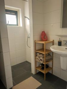 a bathroom with a sink and a shower at Studio lodge de Bosuil bij Bolmeer Lodges in Zevenhuizen
